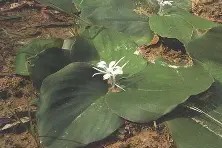 褋械泻褋褋袆薪褋屑邪屑芯泄-开云下载