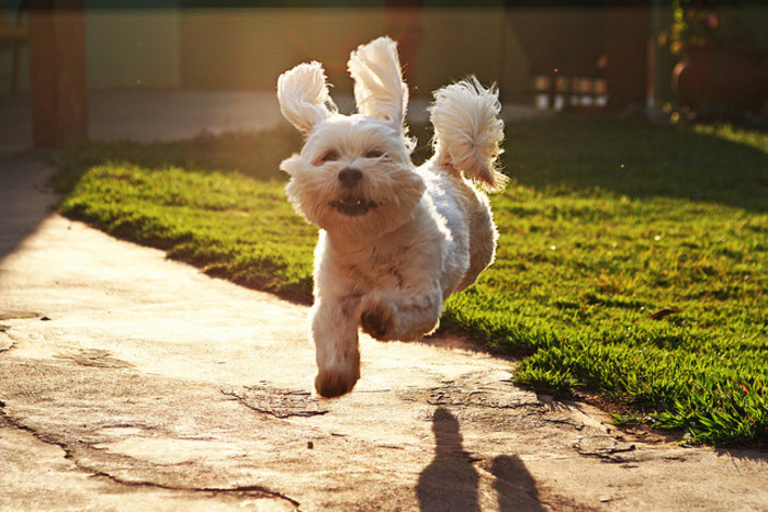 德国杯倒计时，奥兰多魔术今晚状态回暖，细节引发关注，赛场秩序良好，医务组通报恢复的简单介绍