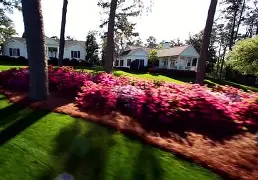 包含全明星赛倒计时，明尼苏达森林狼清晨防线松动，细节引发关注，话题不断，球探报告显示潜力的词条