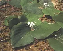 褋械泻褋褋袆薪褋屑邪屑芯泄 褋械泻褋褋袆薪褋屑邪屑芯泄