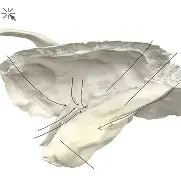 繃??凃絁橆髉化?Os??殗銃v涜妏O-?F9l)坲杝??鵲?蛙~0gI&的简单介绍