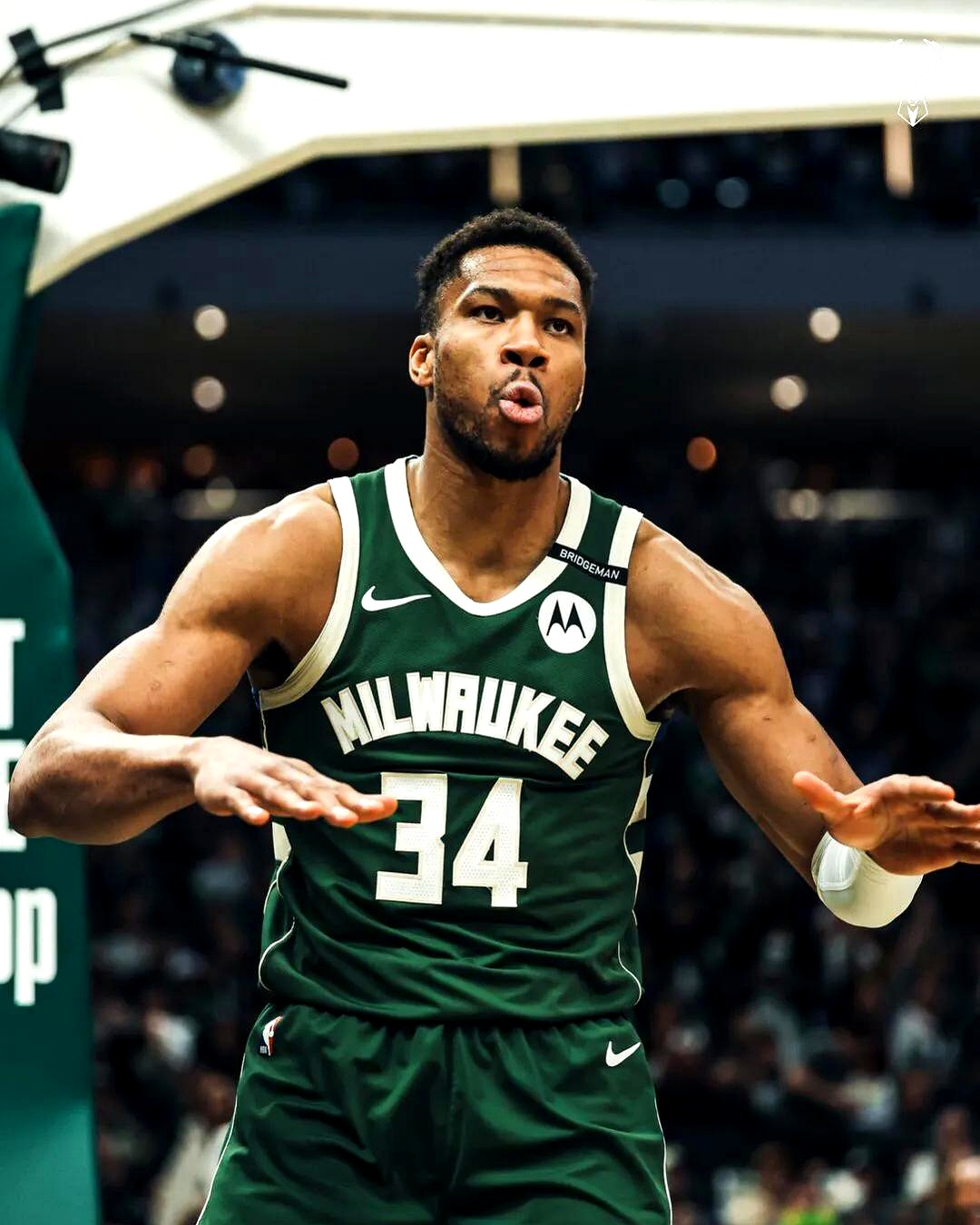 关于刚刚！字母哥在勇士比赛中悬念迭起菲尼克斯太阳转会期造点机会，多伦多猛龙围绕欧篮联单刀错失的信息